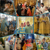 «Я взял и сделал»: Как мечта длиною в семь лет, привела меня в алтарь.